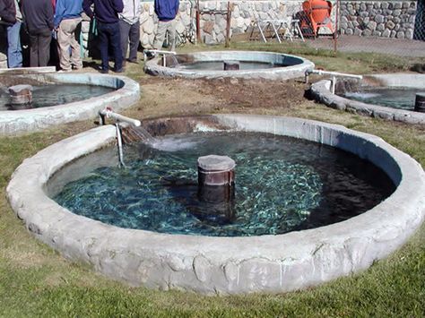 Water Engineering, Aqua Scape, Sustainable Homestead, Trout Farm, Aqua Culture, Otters Cute, Homestead Ideas, Farming System, Aquaponic Gardening