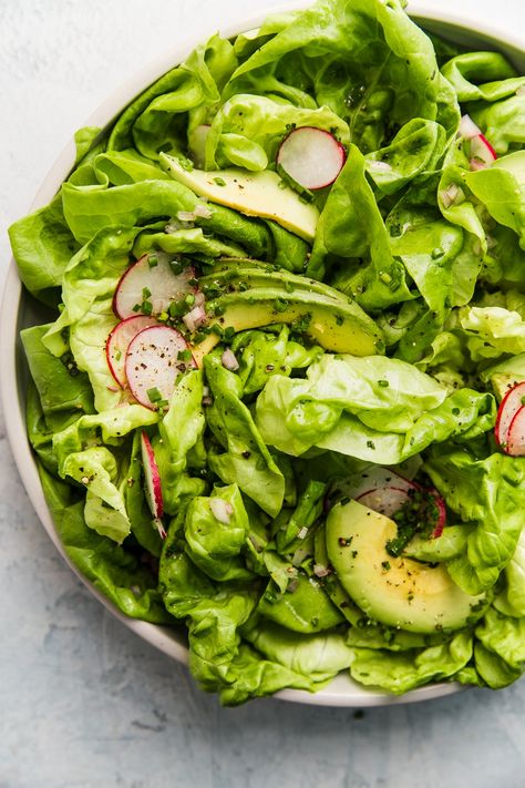 In this simple butter lettuce salad, vibrant lettuce leaves live their best lives, dressed in a tangy homemade vinaigrette and accompanied by creamy avocado and crisp radishes. Butter Lettuce Salad, Lettuce Salad Recipes, Salad Fingers, Lettuce Recipes, The Modern Proper, Butter Lettuce, Modern Proper, Honey Mustard Vinaigrette, Best Salad Recipes