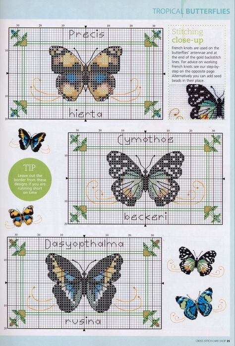 Butterfly Cross Stitch Pattern, Unique Cross Stitch, Cross Stitch Tutorial, Butterfly Cross Stitch, Nature Cross Stitch, Stitch Shop, Cross Stitch Supplies, Pola Kristik, Cross Stitch Bird