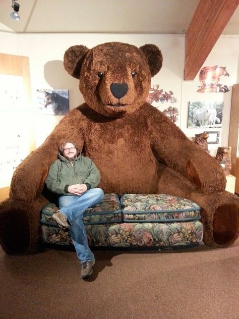 This would likely keep me single, yes? Huge Teddy Bears, Giant Teddy Bear, Giant Teddy, Futurama, Crazy People, Best Funny Pictures, A Man, Funny Pictures, Funny Memes