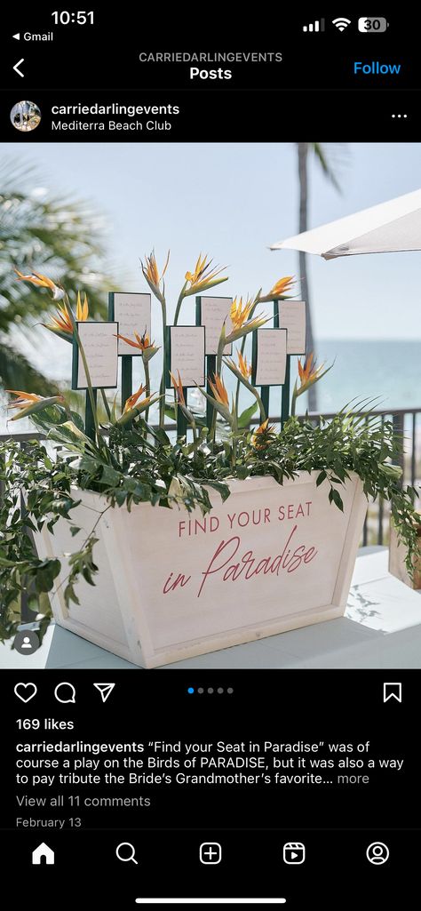 Birds Of Paradise Wedding Decor, Bird Of Paradise Wedding Decor, Birds Of Paradise Wedding, End Of Aisle Wedding Decor, Bird Of Paradise Wedding, Tropical Wedding Decor, Paradise Wedding, Bridal Shower Planning, Miami Wedding