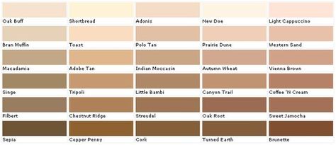 Paint Colors Valspar, Southwestern Interior, Valspar Paint Colors, Zyla Colors, Valspar Paint, Copper Penny, Material World, Paint Chips, Paint Color