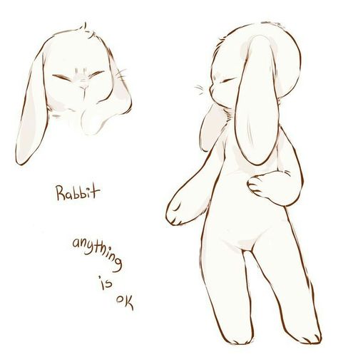 Master Drawings, Bunny Drawing, Bunny Art, Anime Drawings Tutorials, Art Tutorials Drawing, Drawing Base, Art Inspiration Drawing, الرسومات اللطيفة, A Drawing