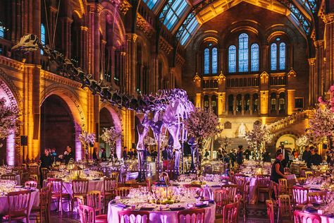 Natural History Museum Gala Natural History Museum Wedding, Broadway Wedding, Indian American Weddings, Dinosaur Wedding, Rapunzel Wedding, Nature Museum, Weddings By Color, Natural History Museum, Museum Wedding