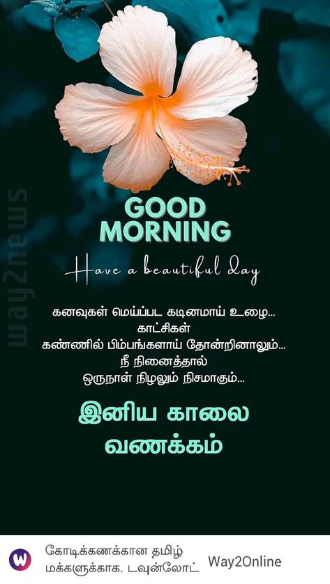 Tamil Motivational Quotes Good Morning, Motivational Quotes Good Morning, Beautiful Good Morning Quotes, Good Morning Motivational Messages, Quotes In Tamil, Quotes Good Morning, Tamil Motivational Quotes, Beautiful Good Morning, Tamil Quotes