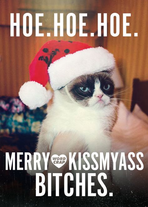 Grumpy Cat Christmas Pictures, Photos, and Images for Facebook ... Funny Merry Christmas Memes, Grumpy Cat Birthday, Cat Wallpaper Iphone, Funny Christmas Images, Merry Christmas Meme, Christmas Quotes For Friends, Grumpy Cat Christmas, Grumpy Cat Meme, Grumpy Cat Quotes