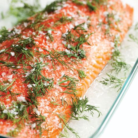 Salmon Gravlax Recipe, Cured Salmon Recipe, Gravlax Recipe, Recipes Salmon, Recipes Fish, Smoked Fish, Smoked Food Recipes, Cooking Class, Dream Board