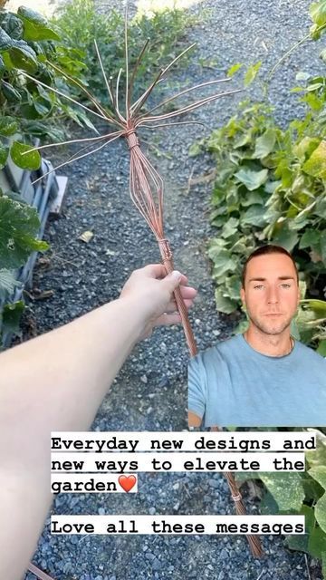 CultivateElevate on Instagram: "2023 is when the copper revolution begins: Learn more 🌞 . https://cultivateelevate.com/blog/electroculture-gardening-techniques-for-beginners-elevate-your-garden/ . #paleo #coffee #vegan #keto #sustainability #superfoodsmoothie #organic #veganfood #smoothierecipes #holistichealth #plantbaseddiet #adaptogens #smoothie #mushrooms #healthylifestyle #coffeetime #yoga #meditation #consciousness #supplements #brainhealth #backtonature #nature #cultivateelevate #acne #c Paleo Coffee, Benefits Of Gardening, Vegetable Garden Raised Beds, Instagram 2023, Gardening Techniques, Superfood Smoothie, Gardening Books, Vegan Keto, Edible Plants