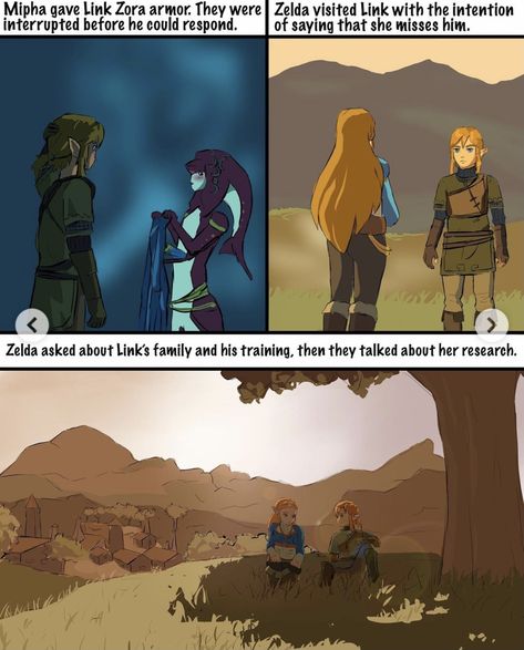 Zelink Comic Kiss, Botw Fanart Funny, Zelink Comic Breath Of The Wild, Link Protecting Zelda Botw, Legend Of Zelda Funny Comics, Loz Twilight Princess Memes, Botw Zelda, Link Art, Legend Of Zelda Memes