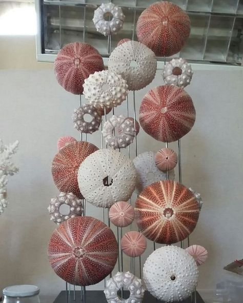 Ocean Art Ideas, Sea Urchins Art, Surf Room Decor, Tulip Centerpiece, Seashell Artwork, Urchin Shell, Seashell Art Diy, Seaside Home Decor, Sea Urchin Shell