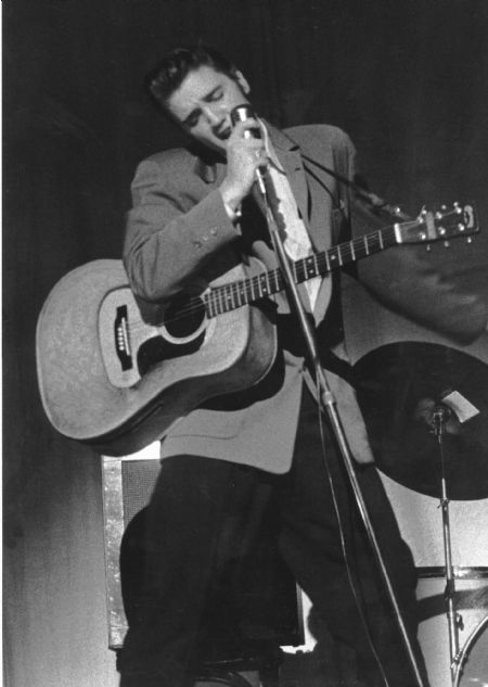 Elvis Performing, 50s Elvis, Freddy Rodriguez, Elvis Presley Concerts, Scotty Moore, King Elvis Presley, Money Honey, Elvis Presley Images, Young Elvis