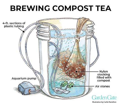 Compost Tea: Give your soil a healthy dose of beneficial microbes with brewed compost tea. Compost Tea How To Make, Compost Tea Recipe, Allotment Planning, Compost Tea Brewer, Comfrey Tea, Tunnel Greenhouse, How To Make Compost, Aquarium Pump, Tea Brewer