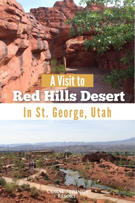 Red Hills Desert Garden, Utah Trip, Utah Vacation, St George Utah, Red Hill, Desert Garden, Southern Utah, Spring Resort, Vacation Resorts