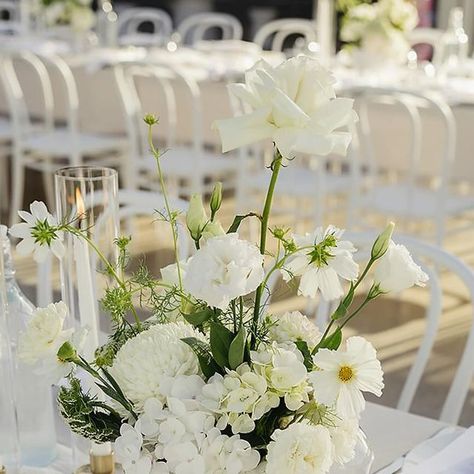 Etc. Events - Wedding Planner, Designer, Florist on Instagram: "Table details from Laura & Harry’s day.

Keeping in with their neutral colour palette we opted to swap a white table cloth for stone and then layer in with an ivory gathered runner to create texture.

To then bring back some white we incorporated white ceramic vases with florals, taper dinner candles and linen napkins.
Countering that once more by adding in touches of brass and an ivory grosgrain ribbon to each napkin.

What I love about design is that it’s never flat.
There’s a constant push and pull. Adding and removing. To create the perfect balance where colours and textures are in harmony to pull off what you see here.

📸 @ashleighhaasephotography

#feel_wedvibes #weddingtablesetting #weddinginspo #melbournebride #countr Push And Pull, Dinner Candles, White Ceramic Vases, White Table Cloth, Candle Dinner, Wedding Table Settings, White Table, Ceramic Vases, Neutral Colour Palette