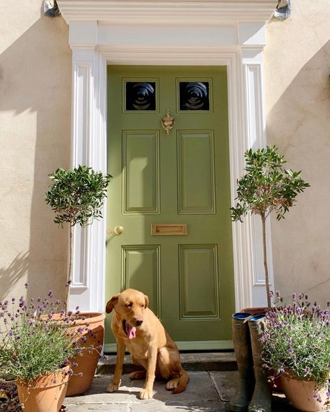 Terracotta Front Door, Front Door Colours, Coral Front Doors, Victorian Front Door, Orange Front Doors, Tan House, Pink Front Door, Kerb Appeal, Valspar Paint