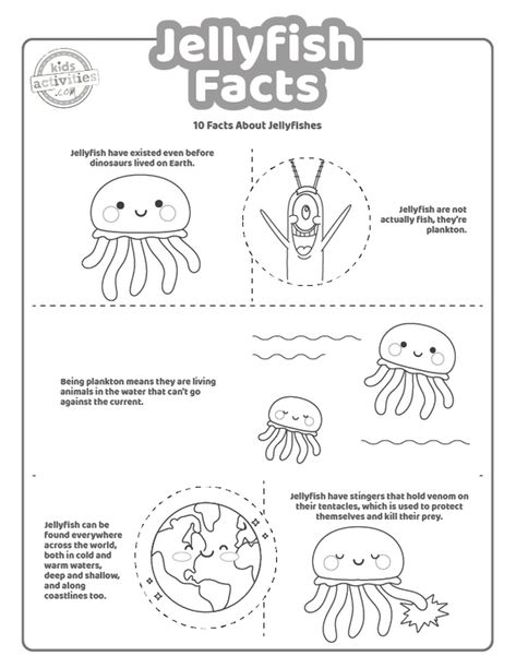 Jellyfish Facts For Preschoolers, Jelly Fish Activities Preschool, Jellyfish Activities For Kids, Jellyfish Activities Preschool, Jellyfish Preschool, Jellyfish Facts For Kids, Jellyfish Activity, Jellyfish Activities, Facts About Jellyfish