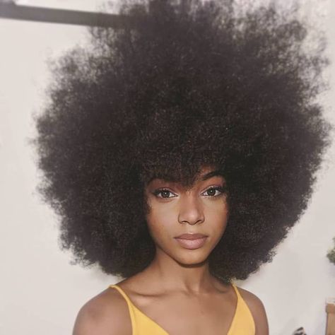 Pixie Bob Hairstyles, Big Afro, Afro Style, Natural Afro Hairstyles, Afro Puff, Texturizer On Natural Hair, Curly Afro, Natural Hair Inspiration, 4c Hairstyles