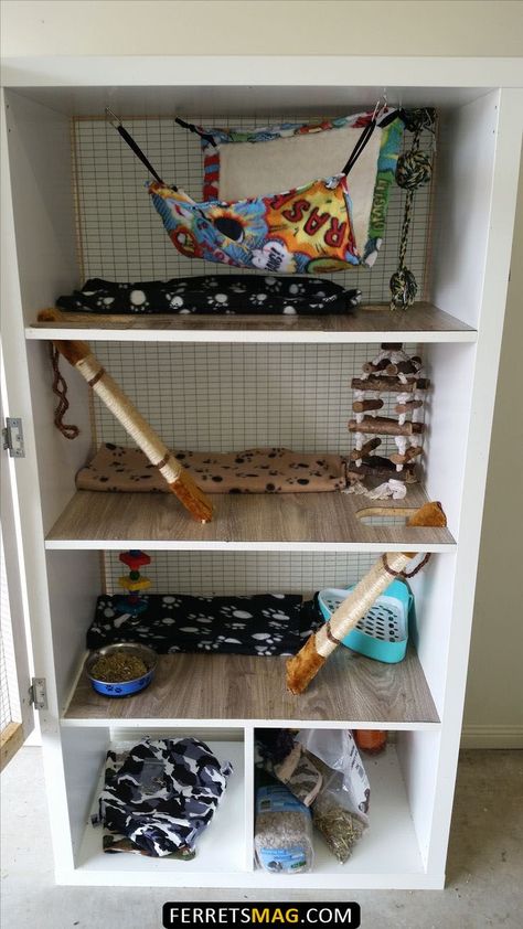 Rat House Diy, Homemade Rat Cage Ideas, Rat Cage Ideas Diy, Diy Rat Cage, Ikea Book Shelf, Chinchilla Cage Ideas, Rat Cage Ideas, Rat Cage Diy, Ferret Ideas