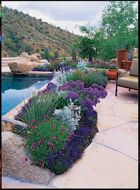 Pool garden border  Borders don't have to be large or complex to have visual impact; just four or five well-chosen plants can work wonders.Here, a border of purple African daisies, lobelia, sea lavender, and silvery dusty Miller hugs a pool in Scottsdale, AZ. Pool Sidewalk Ideas, Lavender Pool Landscape, Flower Beds By Pool, Pool Border Landscaping, Flower Bed Around Pool, Pool Flower Beds, Flower Beds Around Pool, Texas Pool Landscaping Backyards, Dusty Miller Landscape