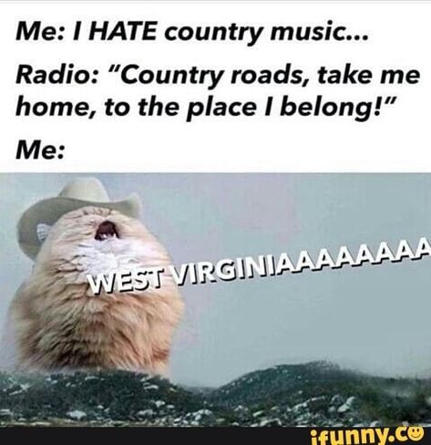 Me: I HATE country music... Radio: ”Country roads, take me home, to the place I belong!” - iFunny :) Old Country Music Singers, Playlist Country, Songs Country, Music Quote Tattoos, Quotes Country, Country Music Playlist, Lyrics Country, Instagram Caption Lyrics, Singer Quote