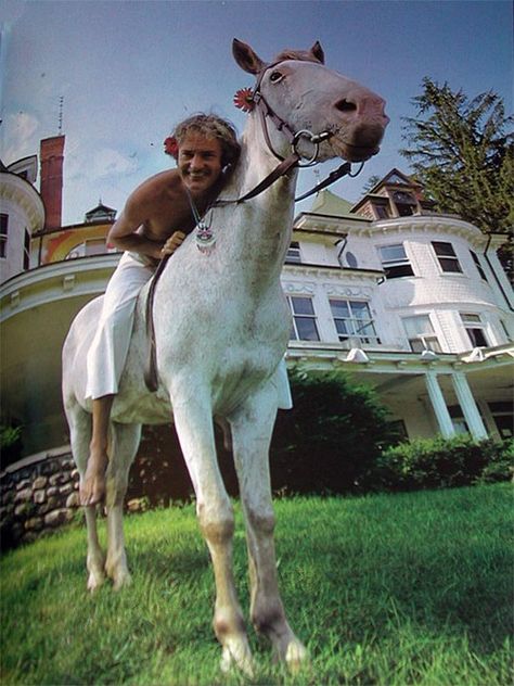 Timothy Leary Timothy Leary, Screen Shot, Old School, Horses, New York, Turn Ons, Animals, Art