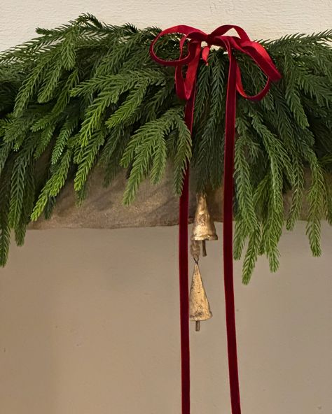 🎄 Only 7 weeks to go until Christmas! 🎄 Our Norfolk Pine Swag Garland, paired with our Tapered Rustic Bells and luxurious Wine Velvet Ribbon, is the perfect festive addition to any home. With its real-touch look and feel, it’s no wonder this garland is one of our best-sellers! 🌲✨ Our customers have been raving about it – the reviews speak for themselves! Add that timeless Christmas charm to your decor today. Tap to shop and bring the magic home! 🎁 #BoxwoodHomeInteriors #ChristmasDecor #No... Pine Swag, Solstice And Equinox, Timeless Christmas, Magic Home, Norfolk Pine, Tree Inspiration, Bell Decorations, Christmas Tree Inspiration, Woodland Christmas