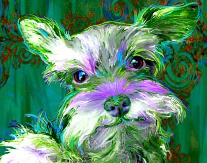 Miniature Schnauzer Dog Art | Art Dog Blog Schnauzer Print, Schnauzer Art, Mini Schnauzer Puppies, Schnauzer Dog, Schnauzer Puppy, Schnauzer Dogs, Dog Blog, Miniature Schnauzer, Wow Art