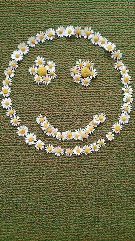 Happy Face January Desserts, Daisy Cottage, Daisy Daisy, Daisy Mae, Daisy Love, Happy Flowers, Flower Quotes, Daisy Chain, Red Berries