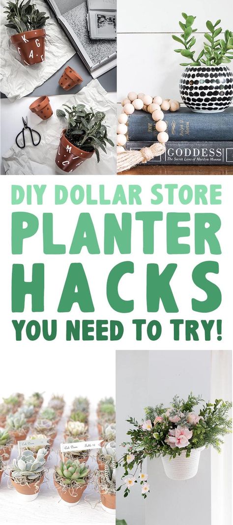 Planter Hacks, Diy Perfume Organizer, Indoor Plant Shelves, Perfume Organizer, Easy Patio, Tree Planters, Cottage Market, Diy Perfume, Fake Succulents