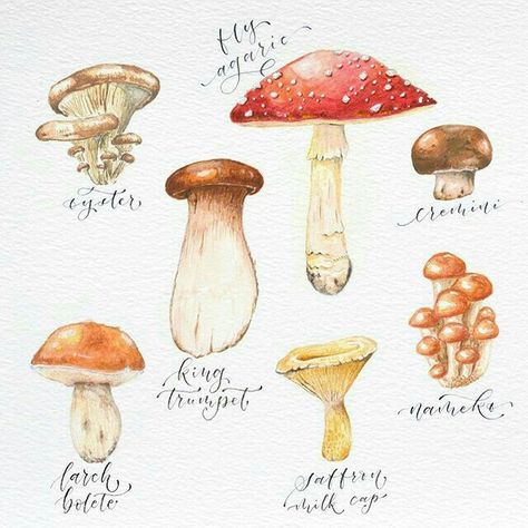 Mushrooms Watercolor, Watercolor Kit, Bee Art, Illustration Painting, Mushroom Art, Watercolor Inspiration, Watercolor Drawing, Watercolor Design, Giclee Art