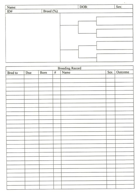 I was surprised by the number of people commenting on my organization and being able to keep track of all the breeding choices of my goats.  I really think my years of doing genealogical research h… Goat Record Keeping Forms Free, Goat Breeding, Keeping Goats, Goat Health, Dog Shots, Goat Care, Goat Barn, Raising Rabbits, Boer Goats