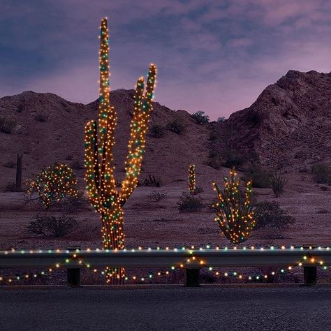 Desert Christmas Decor, Arizona Christmas, Cactus Accessories, Desert Christmas, Christmas In La, Southwest Christmas, Cactus Christmas Trees, Cactus Christmas, Happy Winter Solstice