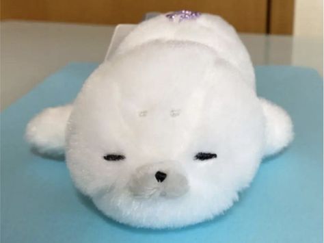 Cute Seals, Silly Animals, Cute Stuffed Animals, Fleetwood Mac, Cute Plush, Sea Animals, Dandy, Cute Icons, Stuffed Animal