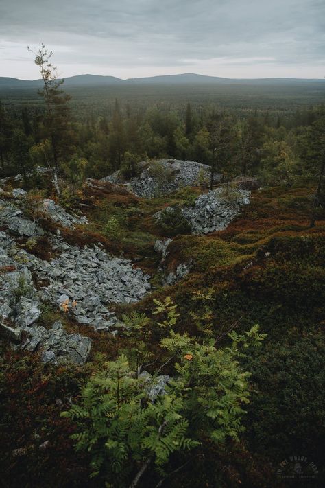 Hikes & Trails Near Ylläs, Finland – Beautiful Aakenustunturi Fell - In the Woods, Dear Ylläs Finland, Denmark Aesthetic, Restaurant Vibes, Earth Core, Landscape References, Nordic Nature, The Woods, Nordic Aesthetic, Earth's Core