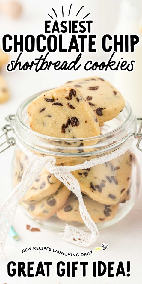 Our chocolate chip shortbread cookies will melt-in-your-mouth and delight your taste buds with bursts of sweet chocolate. Espresso Cookies Recipe, Gourmet Chocolate Chip Cookies, Chocolate Chip Shortbread, Simple Treats, Chocolate Chip Cheesecake Bars, Shortbread Cookies Easy, Chocolate Chip Shortbread Cookies, A Glass Of Milk, Pumpkin Chocolate Chip Bread