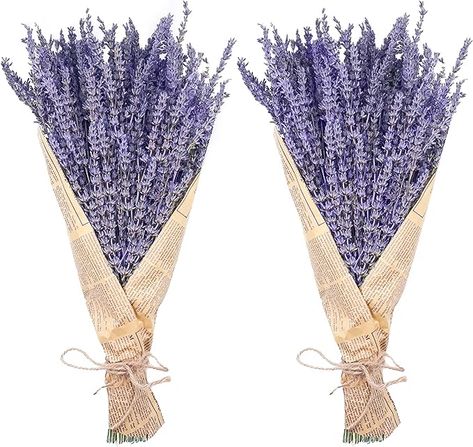 Amazon.com: Dried Lavender Bundles, Uieke Natural Dried Lavender Flowers 280-300 Stems 16“ for Home Weeding Decoration Flower Arrangements Home Fragrance 2 Bundles : Home & Kitchen Lavender Bundle, Dried Potpourri, Purple Flower Bouquet, Dried Lavender Flowers, Lavender Wreath, Sachet Bags, Floral Craft, Dried Lavender, Lavender Flowers