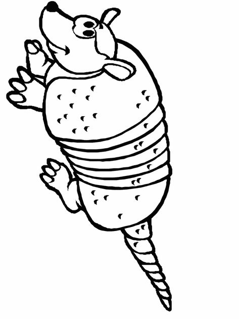 armadillo1.gif (718×957) Desert Crafts, Armadillo Art, Colorful Website, Fruit Coloring Pages, Animal Categories, Coloring Page Ideas, Online Coloring Pages, Children Images, Coloring Pages Printable