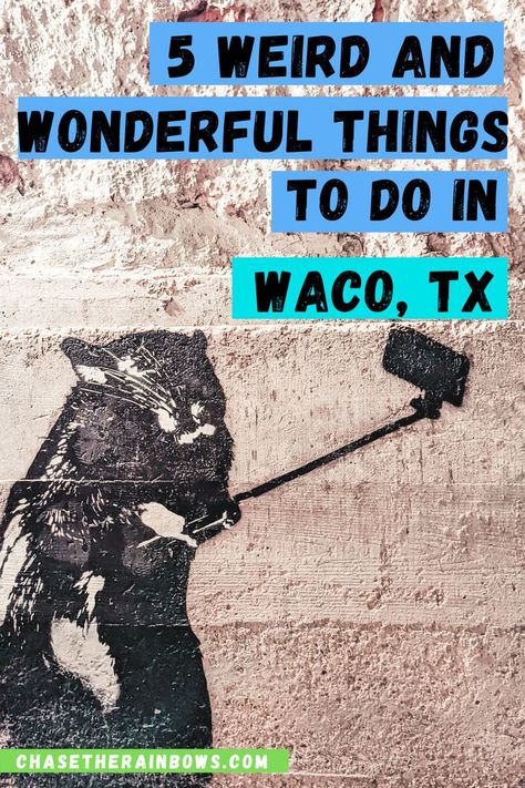 5 Weird and Wonderful Things To Do in Waco Texas Waco Texas Things To Do In, Austin Texas Travel, Beer Spa, Texas Trip, Travel Texas, Retirement Travel, Texas Roadtrip, Waco Texas, Ft Worth