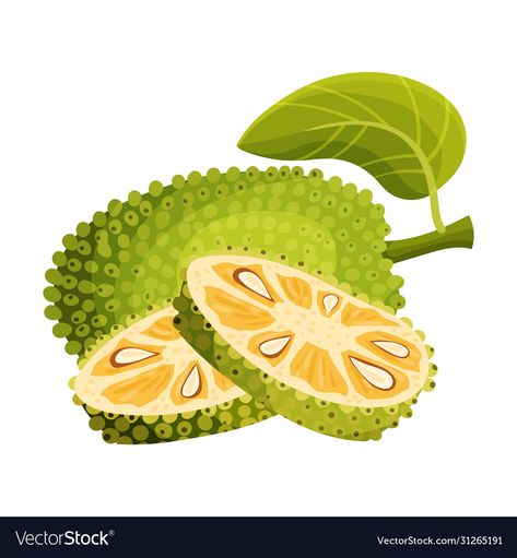 Jackfruit Tattoo, Tropical Snacks, Jackfruit Tree, Play Market, Fruit Cartoon, Fruits Images, Flash Card, Colorful Background, Tree Illustration