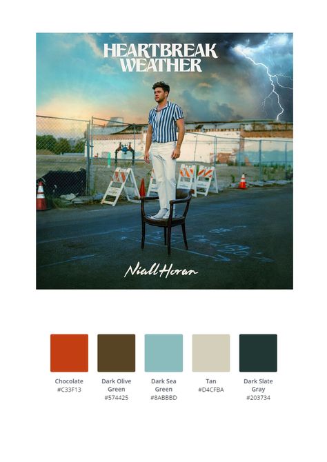 Niall Horan Album Cover, 1d Albums, Niall Horan Outfits, One Direction Niall, Music Journal, Pantone Colour Palettes, Music Drawings, Music Poster Design, Movie Poster Wall