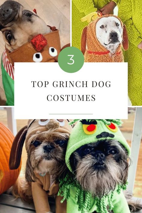 Get ready to win hearts, even the two-sizes too small ones! Our Top 3 Grinch Dog Costume Picks will help your pooch outshine the mean, green Grinch himself. Stay put – it's time for some serious 'bark' to 'bling' transformation! Grinch Dog Costume Diy, Grinch Dog, Grinch Costume, Grinch Costumes, Diy Dog Costumes, Dog Clothes Diy, Mean Green, Dog Costumes, Dog Costume