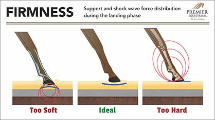 “I was shocked when I learned about hoof mechanism and how blood is circulated throughout the horse’s body,” she said. “I didn’t know the foot plays a critical role in the cardiovascular system. Working on this project has changed the way I look at what surface my horse is on, how he reacts, and what he’s communicating to me.” Horse Biomechanics, Arena Footing, Horse Riding Arena, Spa Hammam, Dressage Arena, Horse Paddock, Horse Farm Ideas, Horse Barn Ideas Stables, Horse Barn Designs