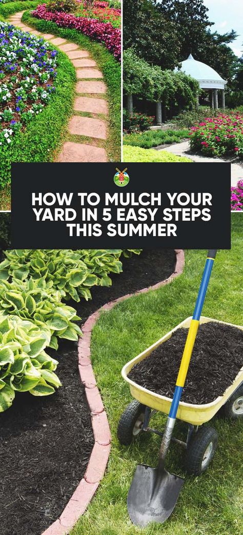 How to Mulch Your Yard in 5 Easy Steps this Summer Cubicle Aesthetic, Tablescapes Ideas, Spring Chalkboard, Tulip Centerpiece, Porch Landscaping, Mulch Landscaping, Top Flowers, Pergola Pictures, Trellis Ideas