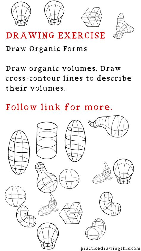 Drawing Exercises - Draw organic volumes. Draw cross-contour lines to describe their volumes. Cross Contour Line Drawing Easy, How To Draw Volume, Contour Drawing Objects, Line Exercises Drawing, Drawing Excercices, Contour Drawing Face, Cross Contour Drawing, Volume Drawing, Practice Drawing Exercises