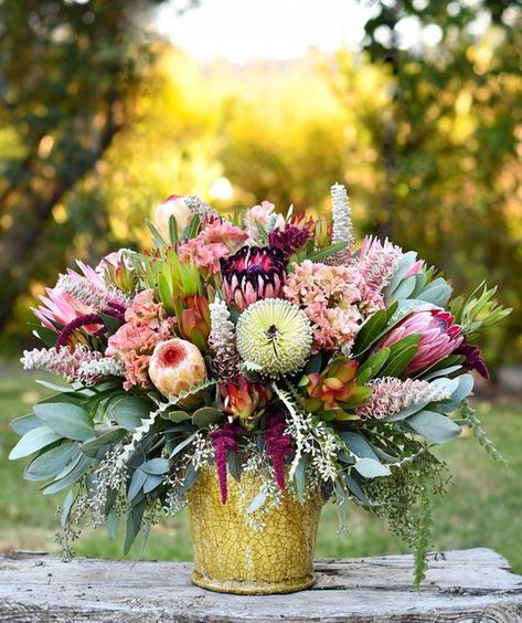 Diana Roy on Instagram: "Happy Friday! Rise & Shine, it’s going to be a beautiful day 🍃🌷🌸🍃 . . . #fridayfeeling #weekendmood #thinkpositive #inspiredbynature #allthingsbotanical #protea #celosia #fabulousfoliage #americangrown #cagrown #sunrise #alittlebeautyeveryday" Fynbos Flower Arrangements, Fynbos Arrangement, Fynbos Bouquet, Protea Bouquet, Cape Town Wedding, Succulent Landscaping, Wax Flower, Australian Flowers, Wax Flowers