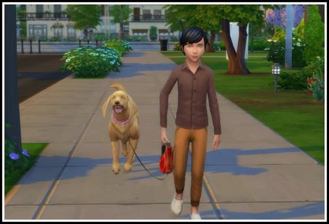 LittleMsSam's Sims 4 Mods Sims 4 Pets Mod, Dogs For Kids, Cc Eyes, Walk Dog, Ts4 Mods, Cc Folder, Sims 4 Children, Sims 4 Game Mods, Sims 4 Mm Cc