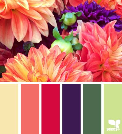 . Seeds Color, Color Palate, Design Seeds, Color Balance, Colour Schemes, Color Pallets, Color Swatches, Color Theory, Color Themes