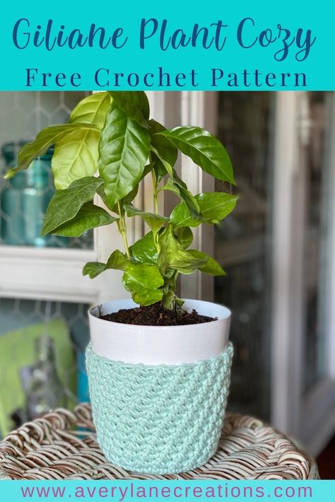 Crochet Plant Cozy, Crochet Plant Holder, Crochet Planter Cover, Plant Cozy, Yarn Crafts Crochet, Crazy Crochet, Crochet Plant Hanger, Crochet Accessory, Cozy Pattern