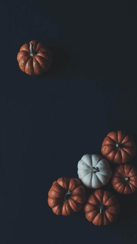 Beautiful pumpkin fall phone wallpaper Fall Backgrounds Iphone, Floral Wallpaper Nursery, Autumn Phone Wallpaper, Playroom Wallpaper, Pumpkin Wallpaper, Fall Wallpapers, Thanksgiving Wallpaper, Cute Fall Wallpaper, Iphone Wallpaper Fall