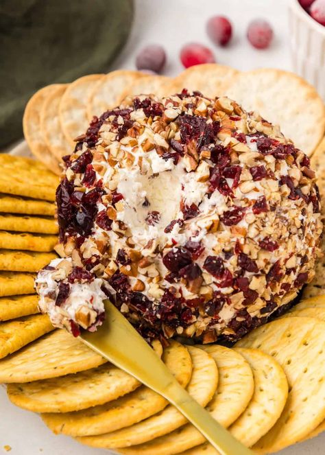 Cranberry Pecan Cheeseball, Cranberry Cheeseball, Pecan Cheeseball, Cheesy Balls, Cranberry Pecan Cheese Ball, Pecan Cheese Ball, Appetizer Christmas, Cold Dips, Ball Recipes